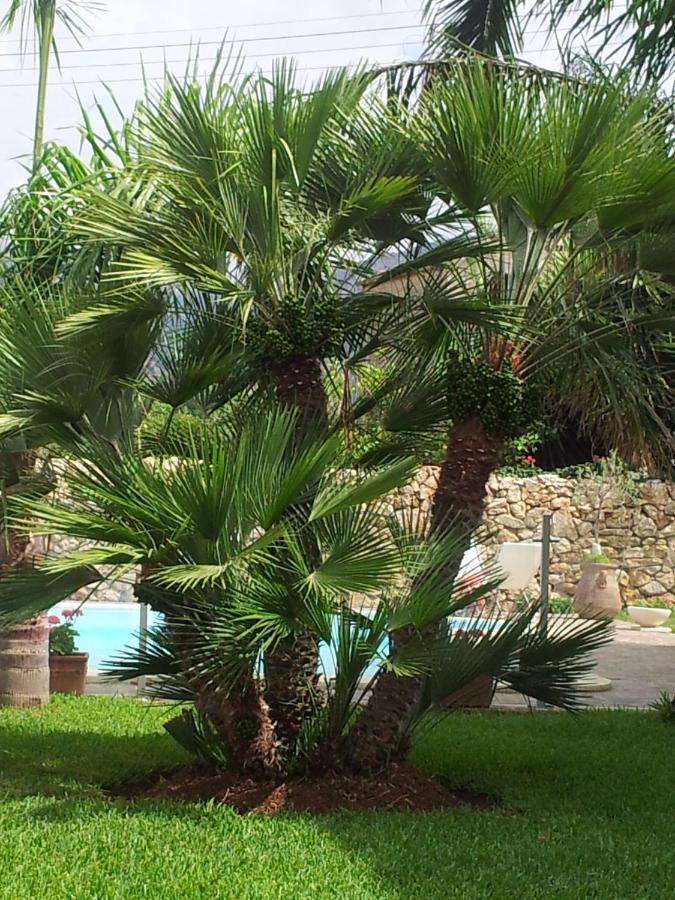 Villa Manzella Piscina Privata Cinisi Zewnętrze zdjęcie